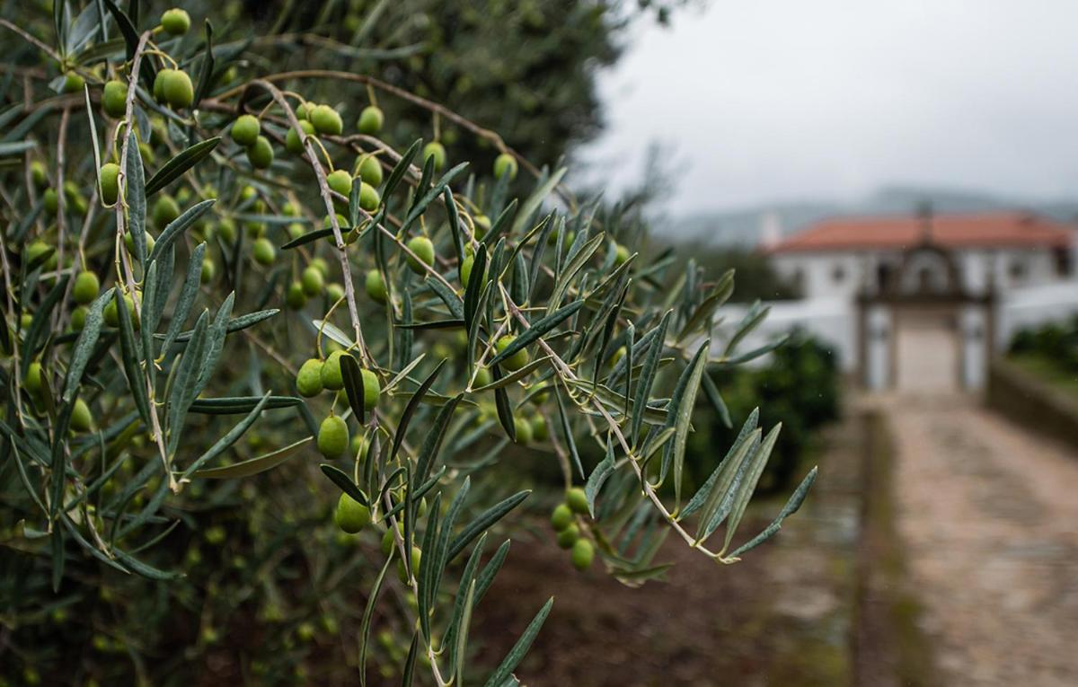 Вилла Casa Do Olival Tarouca Экстерьер фото